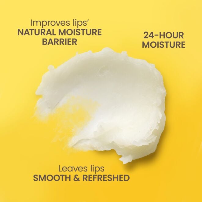 Best of Burt's Lip Balm 4-Pack - Image 7