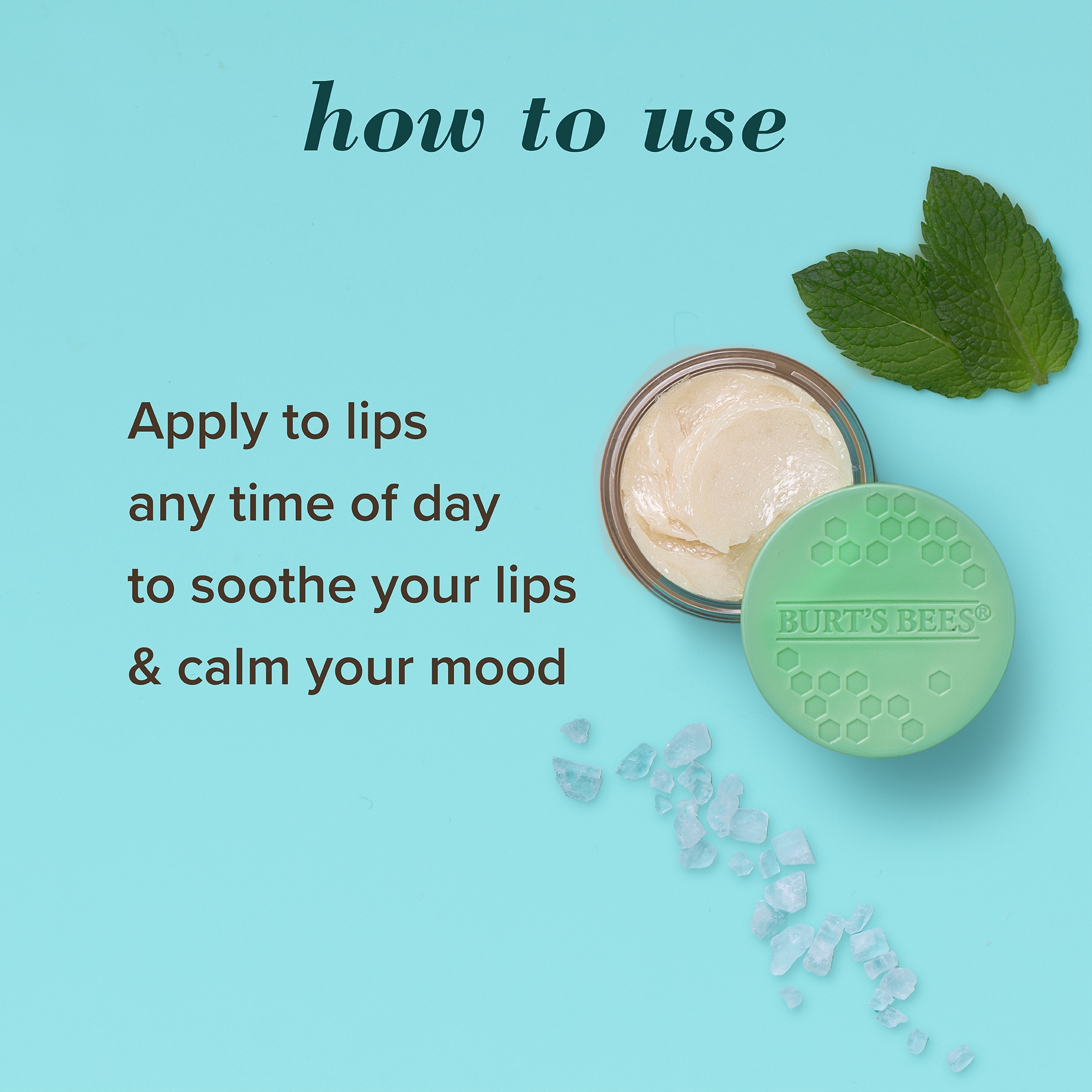 Sweet Mint Lip Treatment with Sea Minerals - Image 6