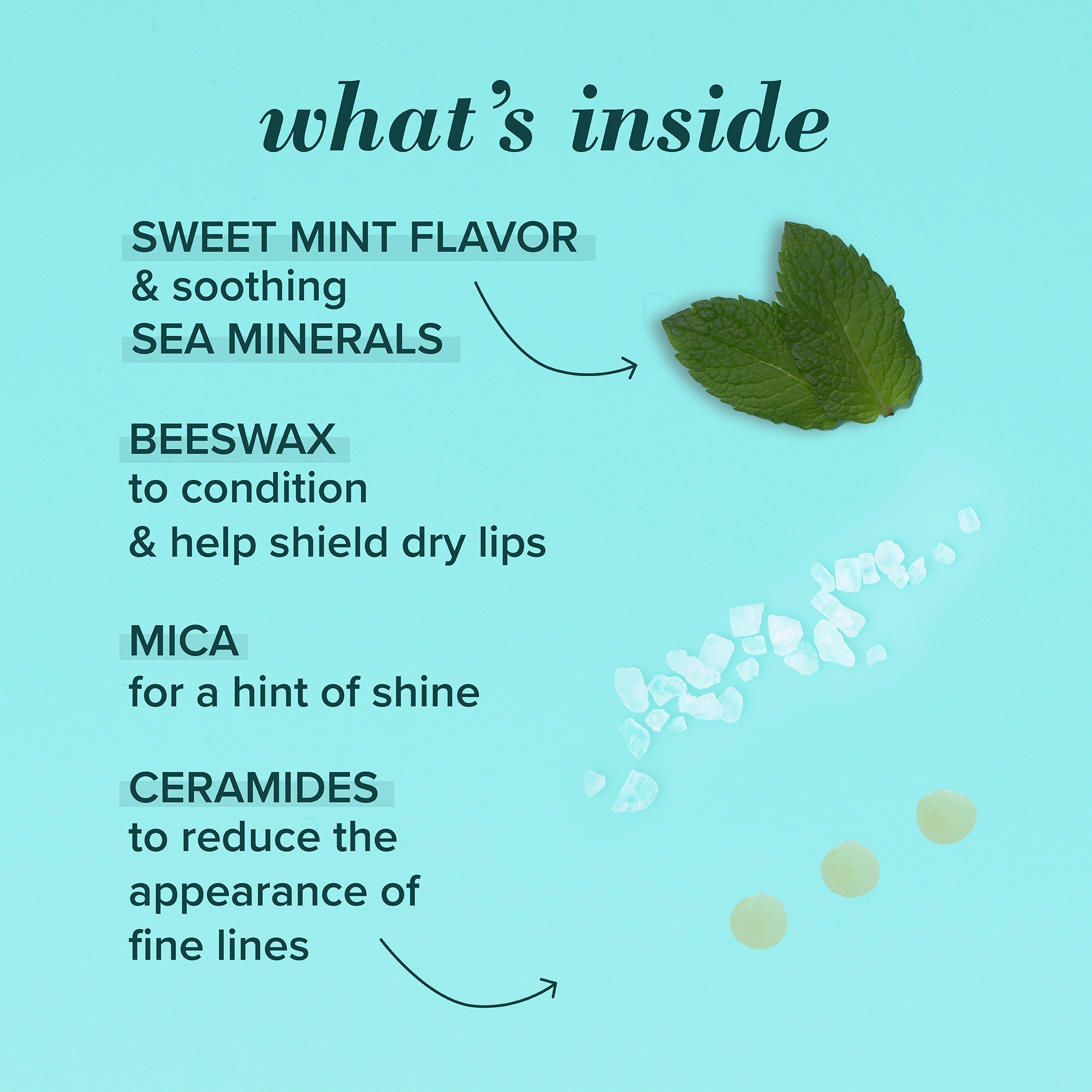 Sweet Mint Lip Treatment with Sea Minerals - Image 7
