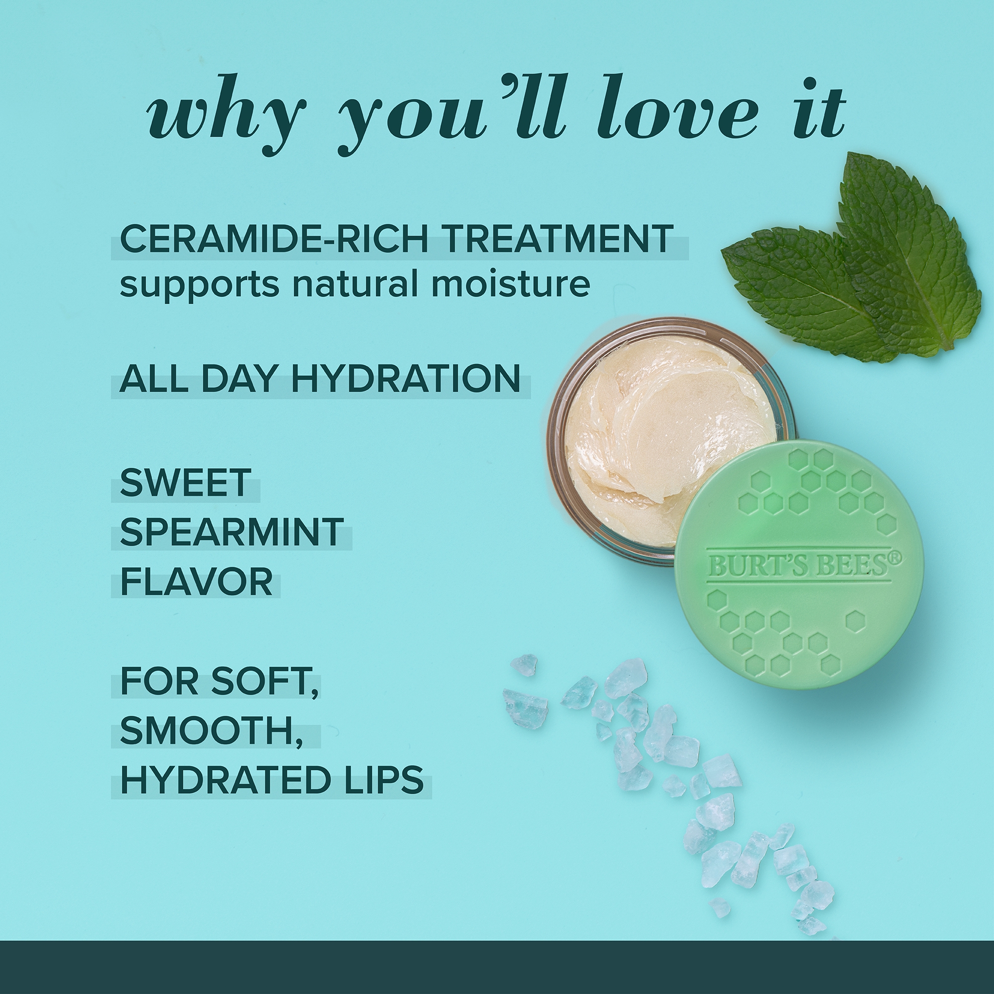 Sweet Mint Lip Treatment with Sea Minerals - Image 5