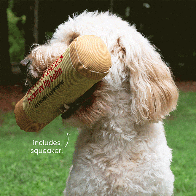 Burt??s Balm Dog Toy & Pawrent Balm 4-Pack Set - Image 2